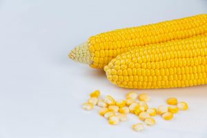 laurom corn feed